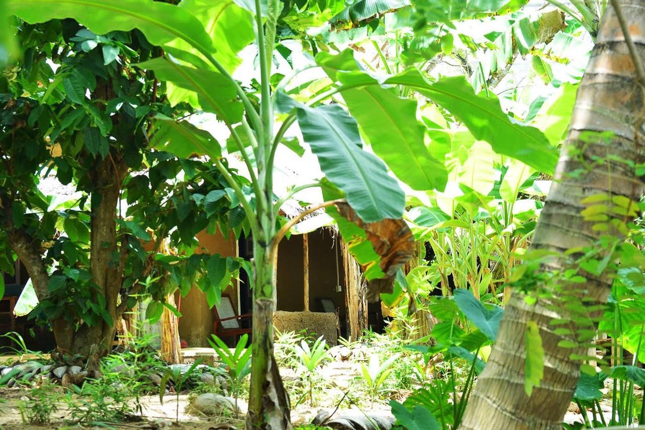 Green Leaves Garden - Pinnawala מראה חיצוני תמונה
